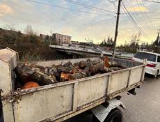 Ольха 10000 срочно🔥