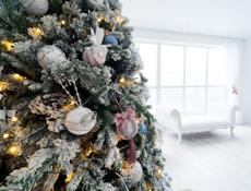 Фотостудия