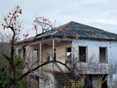 Дом у моря и реки. Очамчыра. 10 соток