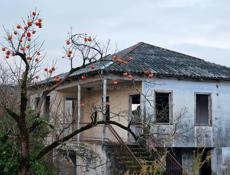 Дом у моря и реки. Очамчыра. 10 соток