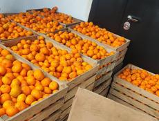 Мандарины по 50 рублей без торга, крупный с мелким