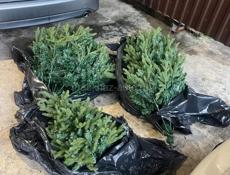 Елка силиконовая