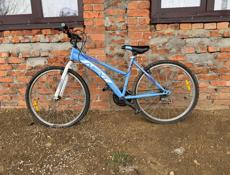 велик срочно 