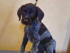 Приму в дар 