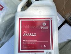 Акардо  раёк 