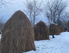 Продается сено