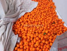 Очень срочно 