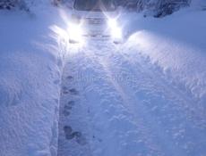 Утерян гос номер, с237сс в горах мамзыщква