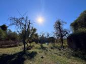 СУХУМ - 50СОТОК ! 