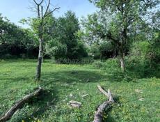 СУХУМ - 50СОТОК ! 