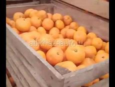 мандарин продаю до четырёх тон средни крупный 70