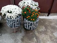 Цветочные вазоны 