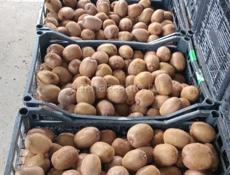 Продажа киви 