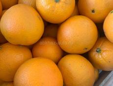 Апельсины (сорт Вашингтон) 