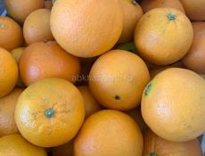 Апельсины (сорт Вашингтон) 