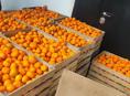 Мандарины 1 тонна