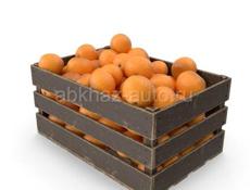 Продаются апельсины 🍊 1 кг 50 р  Звонить или писать на ватсап 7318730