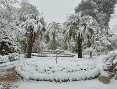 Не то чтобы ищу, но не помешала бы