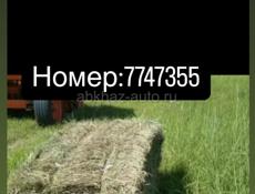 Сено люцерны 