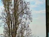 5 - К. КВАРТИРА В СУХУМЕ ЗА 2,4 млн.₽