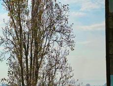 5 - К. КВАРТИРА В СУХУМЕ ЗА 2,4 млн.₽