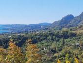 Новый Афон 6 сот.