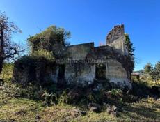 СУХУМ - 50 - СОТОК!