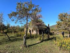 СУХУМ - 50 - СОТОК!