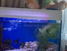 Продам аквариум