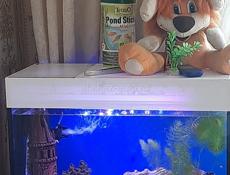 Продам аквариум