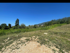 Псырцха 40 соток 4🍋