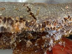 Продается дикий мед