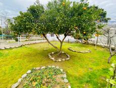 Продается дом в г. Гагра