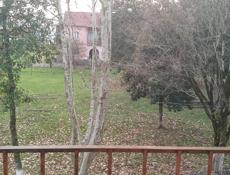 3 комнатная квартира 