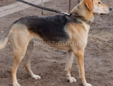 Сем месяц ов