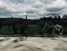 Новый дом с садом