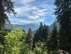 КУПЛЮ КВАРТИРУ