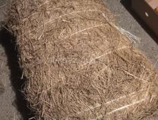 Продаётся сена люцерна 800 руб
