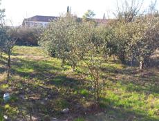 Продам землю 15 соток. Рядом школа, вода и свет 