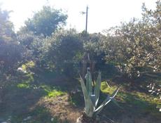 Продам землю 15 соток. Рядом школа, вода и свет 