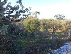 Продам землю 15 соток. Рядом школа, вода и свет 