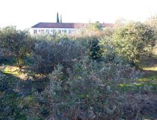 Продам землю 15 соток. Рядом школа, вода и свет 