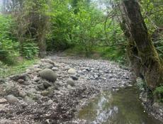 СУУХУМ-50-СОТОК 