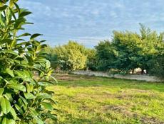 УЧАСТОК 26 СОТОК НА МАЯКЕ