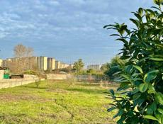 УЧАСТОК 26 СОТОК НА МАЯКЕ