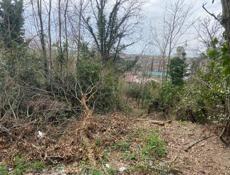  !срочно ‼️ 