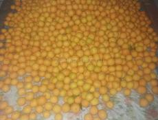 Продаю апельсины 150 кг