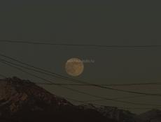 5000 заработок каждый день 