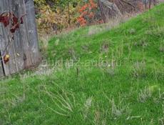 ПОКОС ТРАВЫ И СОРНЯКА,СПИЛ ДЕРЕВЬЕВ. РАБОТАЕМ СУХУМ ОЧАМЧИРА И ПО РАЙОНУ 