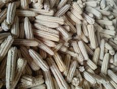 Продам кукурузу 